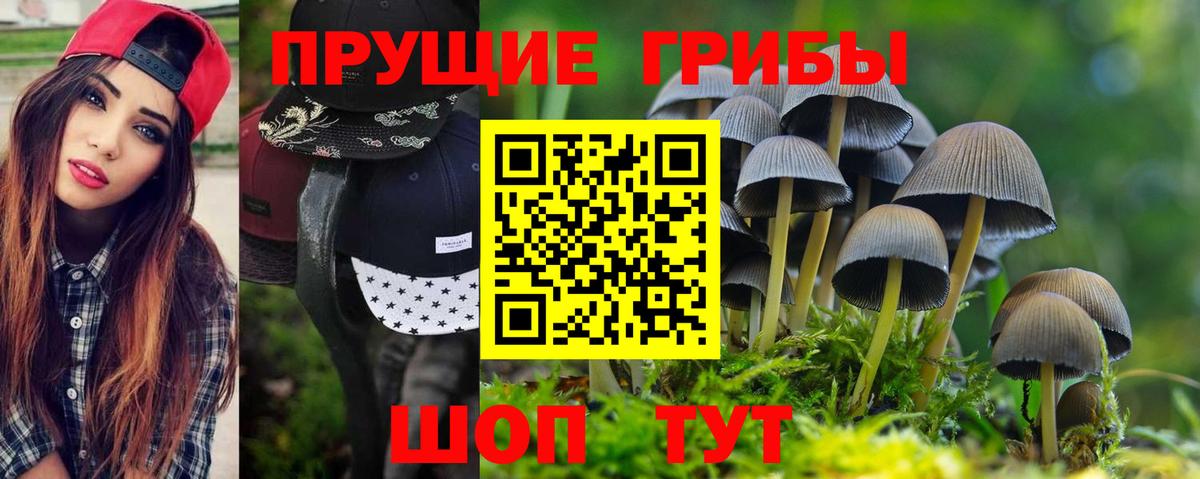 Киров  Галлюциногенные грибы Psilocybine cubensis  Галлюциногенные грибы мухоморы  Вход с VPN 