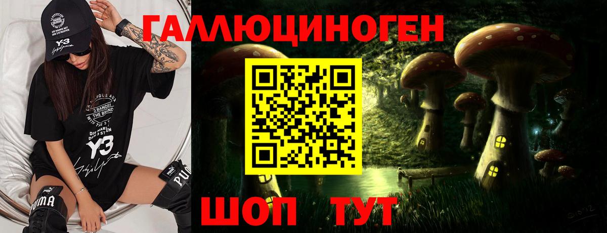 APVP СК   МАРИХУАНА  Купить наркотики  Меф кристаллы  Вход с VPN  Киров  COCAIN  Гашиш 
